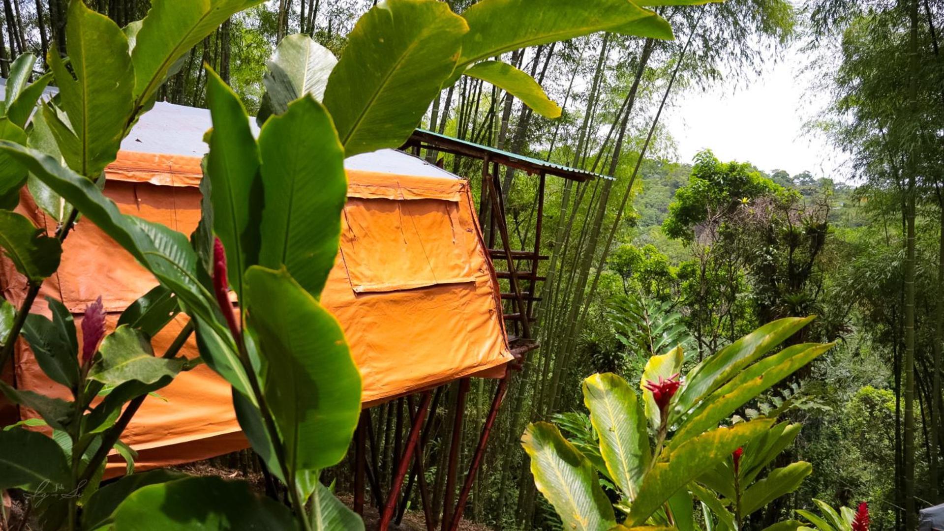 El Castillo Essence Arenal Spa & Yoga מראה חיצוני תמונה